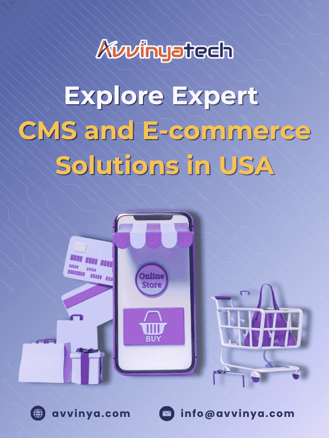 Explore Expert CMS and E-commerce Solutions in USA