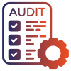 Audit Process